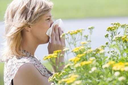 Lakeland_allergy_doctor